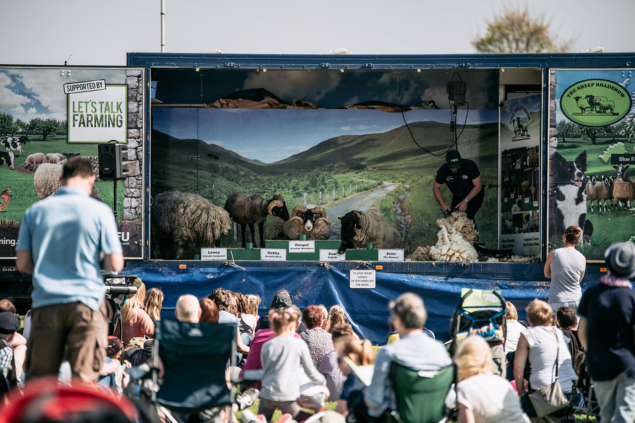 The Sheep Show at LincsFest at the Lincolnshire Showground, 15 August 2021