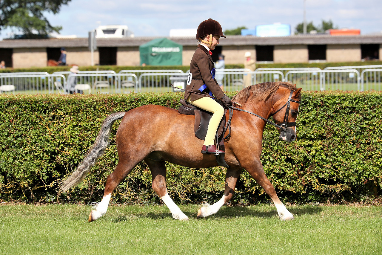 lincolnshire-horse-pony-show-wed-23-thu-24-jun